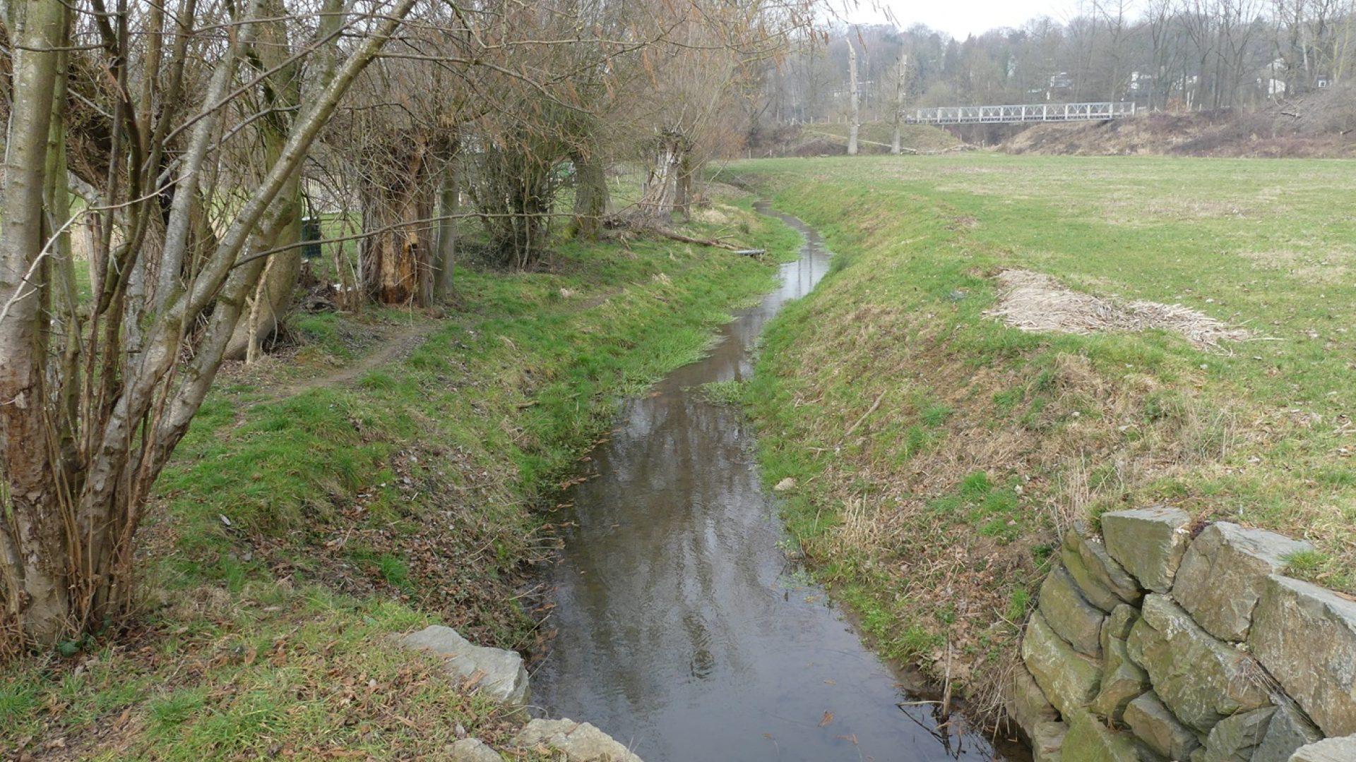 Lezing: Van Auvermoer tot Molenbeek, Hoensbroekse waterlopen uitgelegd