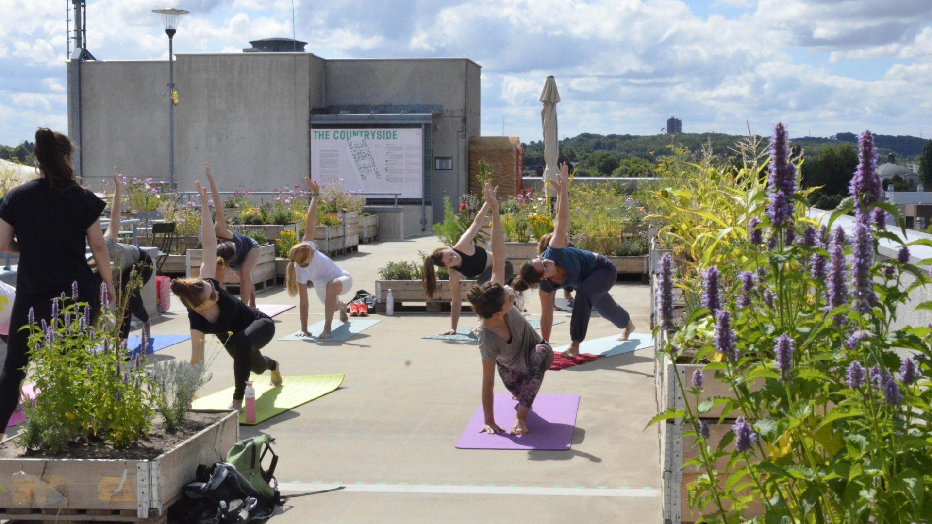 Yoga in het museum